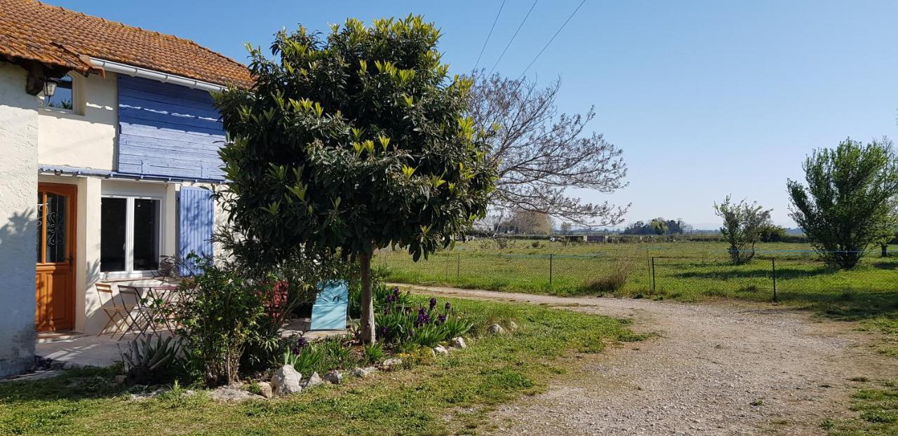 Petite Maison Refaite A Neuf Dans Mas Du 19Eme Siecle Arles Bagian luar foto