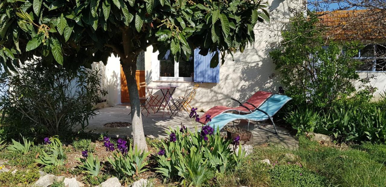 Petite Maison Refaite A Neuf Dans Mas Du 19Eme Siecle Arles Bagian luar foto